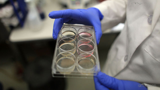 Appeals court lifts ban on federal funding for stem cell research