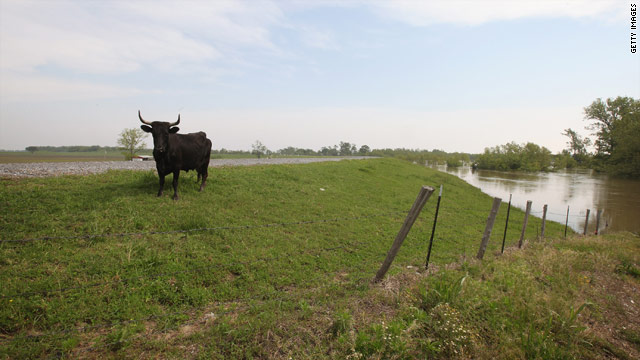 How the Mississippi River levees could fail How the Mississippi River levees could fail