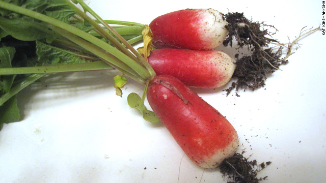 Notes from Zone 6b - eat shoots and leaves
