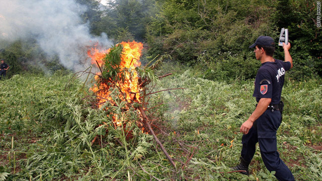Report: The Global War on Drugs has failed: Is it time to legalize?