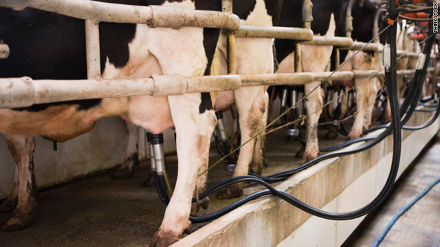 Cows, people infected with new strain of MRSA
