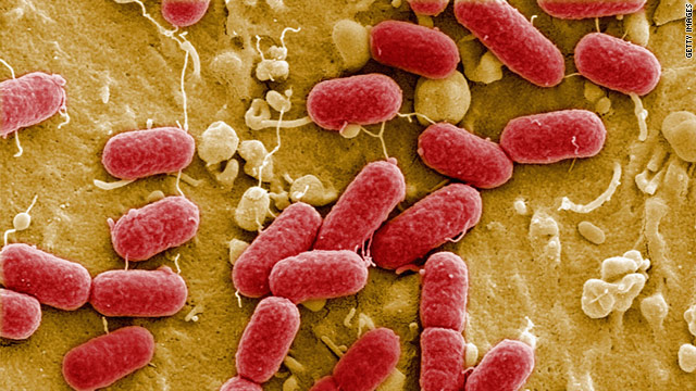 Chinese agency says European E. coli is new strain; Russia sets ban