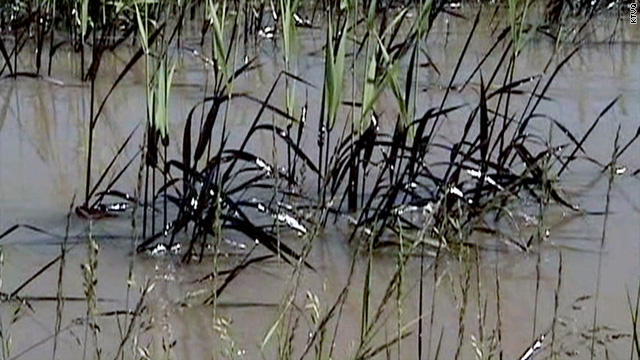 On the Radar: Yellowstone River spill, Strauss-Kahn troubles, missing student