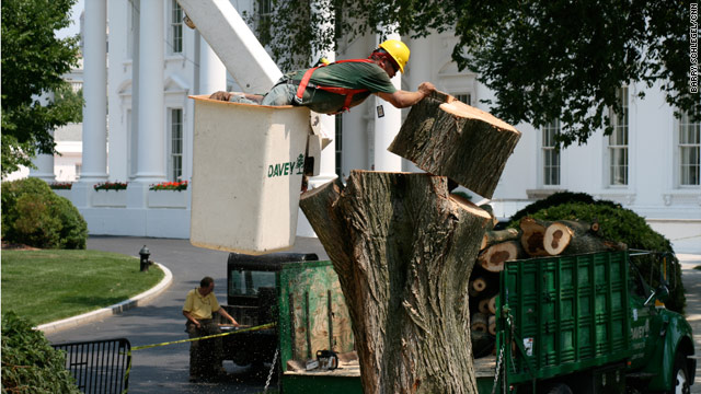 Landscaping at the White House