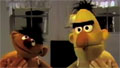 Are Bert and Ernie gay?