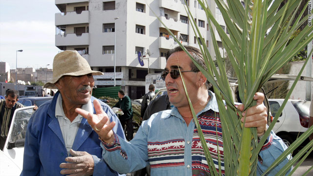 Egypt bans export of ceremonial palm fronds for Jewish holiday