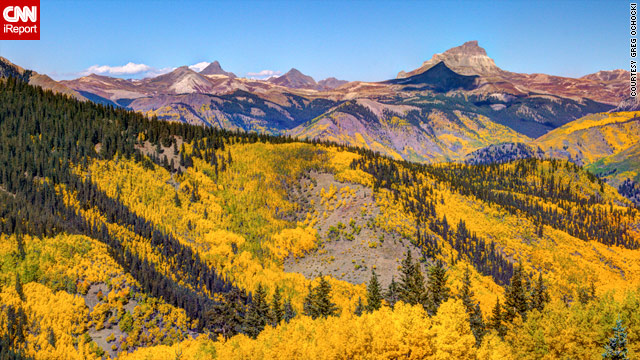 Colorado fall leaves