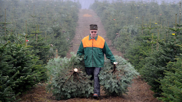 What tree growers want for Christmas: a 'tax'
