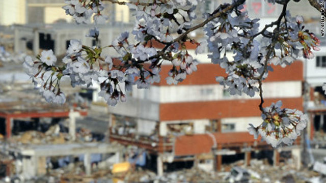 http://i2.cdn.turner.com/cnn/2012/images/01/18/t1larg.japan.jpg