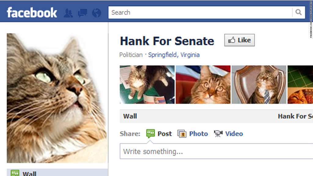 Affiliate reports: Auto-correct panic; cat runs for Senate