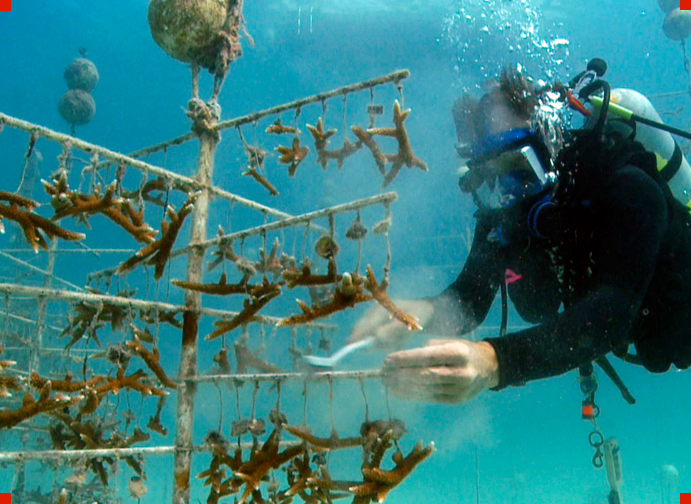 Cnn Heroes Special Reports From