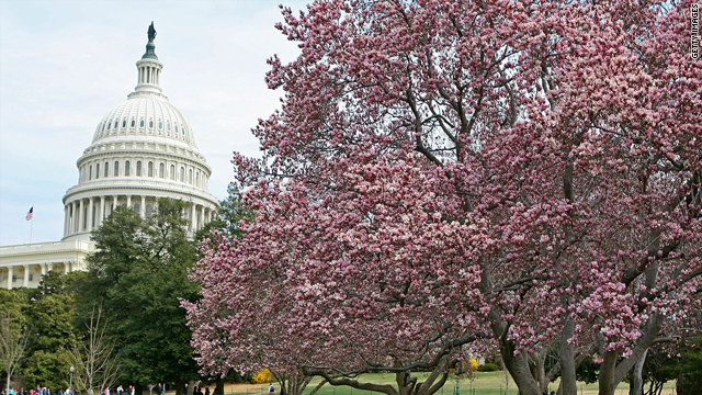 Would you want to be a member of Congress? Some of them say the job sucks.