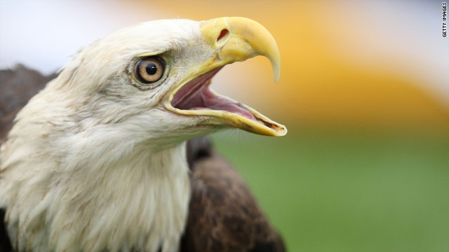 Feds grant Native American tribe permit to kill bald eagles for ...