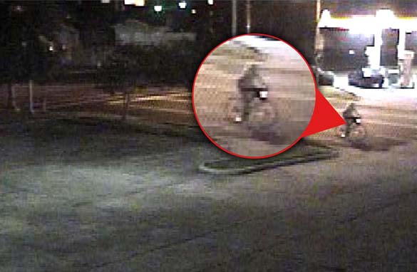 Missing Co-ed's Bike Found