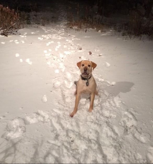 "New Day" Wrap Up – 1/3/13 – Friday