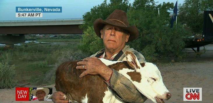 Rancher Holds Up Dead Calf on "New Day"