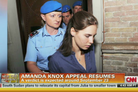 knox cnn appeal dna evidence experts convict argue used over