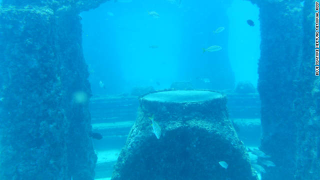 Memorial Reef