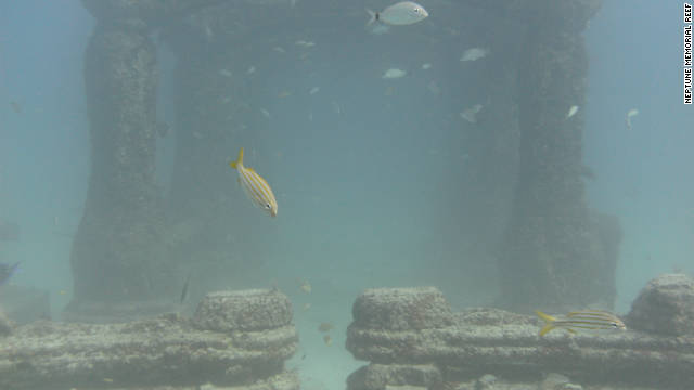 neptunes memorial reef