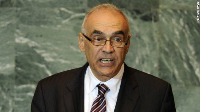 Egypt's Foreign Minister Mohamed Kamel Amr addresses the the United Nations in New York on September 24.