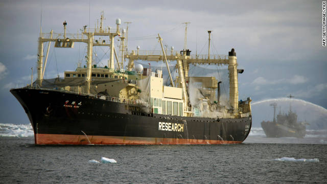 Japan vows to resume whale hunt; activists promise fight