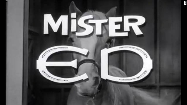 'Mr. Ed' to get movie treatment