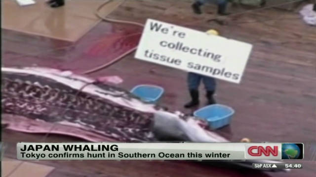 Japan Whaling Controversy 105