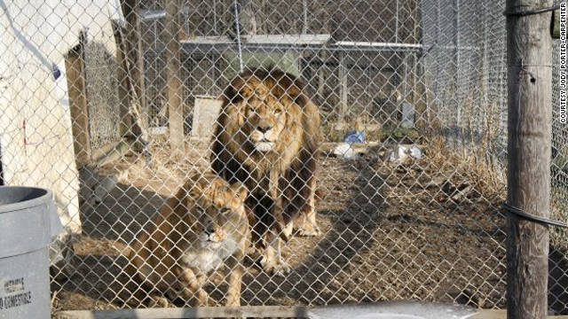 Sheriff, expert defend killings of freed animals in Ohio - CNN.com