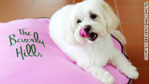 A The Beverly Hills Hotel, even pooches are treated to personalized pillows.