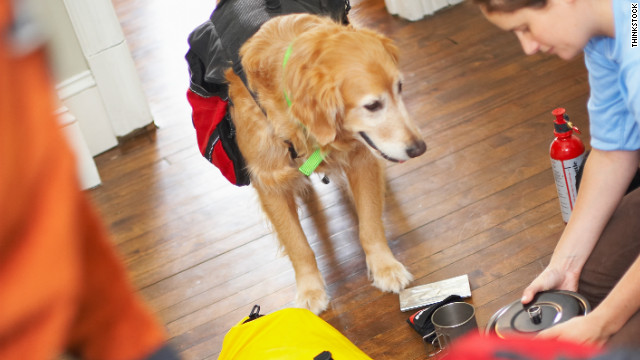 Make sure you have proper travel gear to make air travel as safe as possible for your pet.