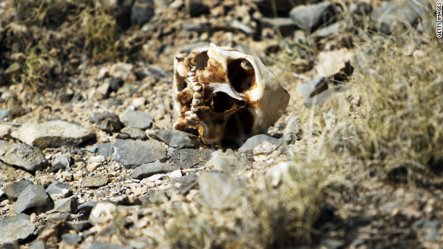 A skull of someone thought to be a victim of drug violence lies on the ground in Ciudad Juarez in early 2010. The border city of Juarez has been racked by violent drug-related crime, making it one of the most dangerous cities in Mexico's war on drugs. According to figures released on January 11 by the Mexican government, 12,903 people were killed in drug-related violence in the first nine months of 2011.