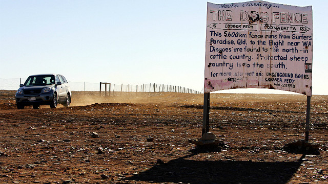 A fence, thousands of kilometers long, attempts to keep dingoes away from livestock in a file image from 2005.