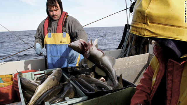 [Image: 120227063426-cod-fishing-main-02-story-top.jpg]