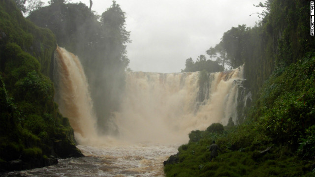 Gabon's vast rainforests