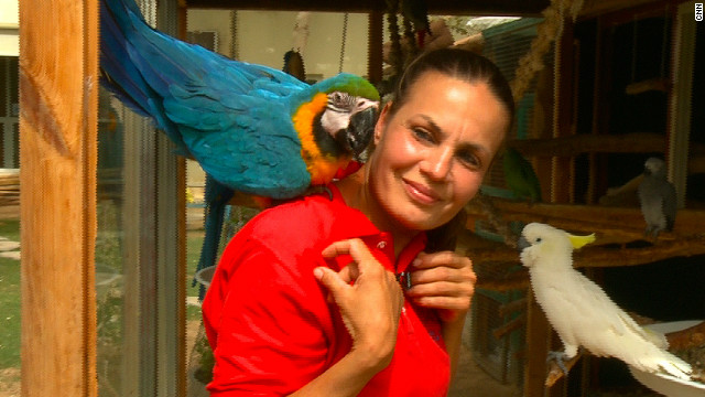 Ayesha Kelaif with her South American macaw Rio, an endangered animal. She found him abandoned in a cardboard box in a parking lot.