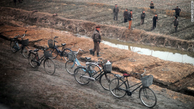 Bicycles line the road Sunday as citizens work the land between Pyongyang and the North Phyongan province.