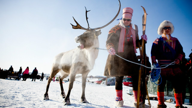 The reindeer share the region with the Sami, Europe's northernmost officially indigenous people, whose ancestral lands spread across Sweden, Norway, Finland and Russia.