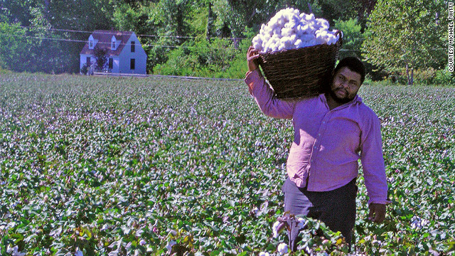 The cook who picks cotton: reclaiming my roots
