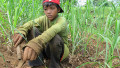 http://i2.cdn.turner.com/cnn/dam/assets/120501041740-philippines-child-labor-video-tease.jpg