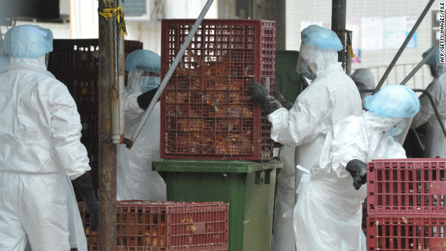 Science Journal Could Give Recipe For Deadly Avian Flu Virus 