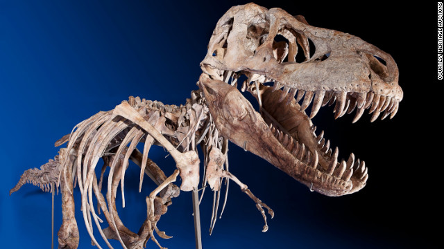 A rare skeleton of a Tarbosaurus bataar was sold for $1.05 million before custody was granted to Mongolia.
