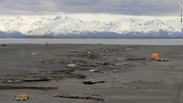 Alaska Beach