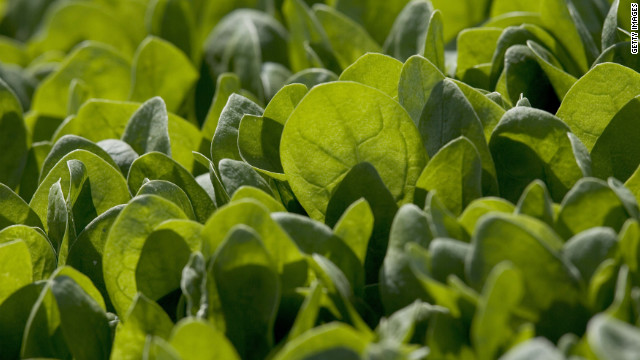 Baby spinach recalled over salmonella concerns