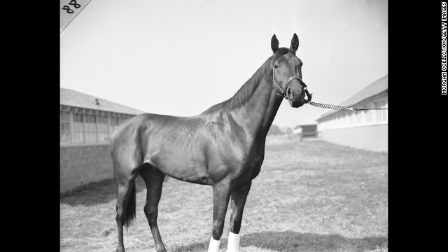 Citation at Belmont Park in 1947. He would win the Triple Crown the following year.