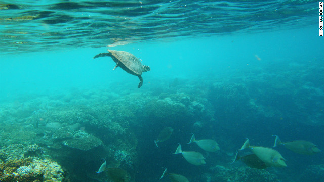 Australia creará la red de parques marinos más grande del mundo