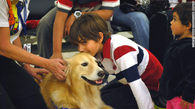 Need some snuggle time? Casey, a 69-pound golden retriever, strolls though Miami International Airport two days a week with owner Liz Miller, an airport volunteer. Liz and Casey help passengers with directions and generally try to smooth the travel experience.