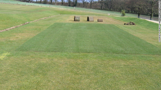 STRI staff use their facility to replicate the grass on Wimbledon's Centre Court and other sporting venues such as horse racing's Royal Ascot and Lord's cricket ground. 