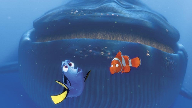 "Finding Nemo's" Dory, who starred in the 2003 Pixar film, might suffer from short-term memory loss, but the brave little regal tang wasn't afraid to stand up to sharks, jellyfish and whales on the way to P. Sherman, 42 Wallaby Way, Sydney.