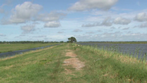 Tropical Storm Debby lashing Gulf Coast with winds, rain - CNN.com