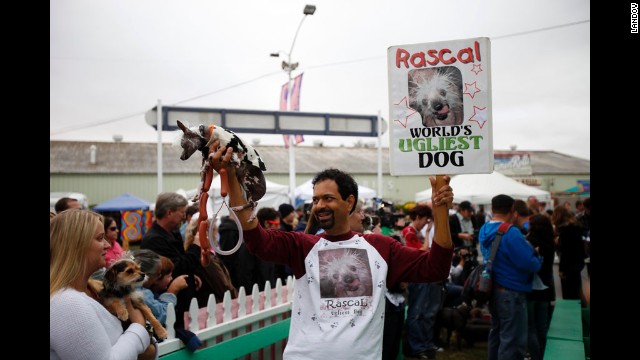 Dane Andrew of Sunnyvale, California, holds Rascal, a 14-year-old Chinese crested.